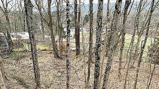 4th image of 105 Neversink Dr