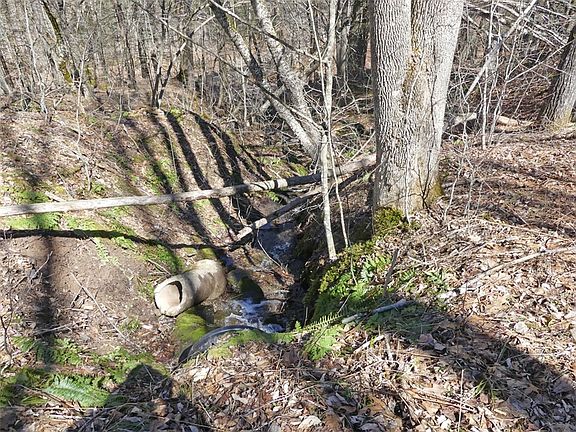 3rd image of 5565 Beech Hill Rd