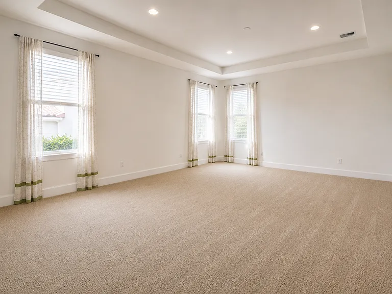 Primary bedroom with tray ceiling, abundant natural light, and generous living space