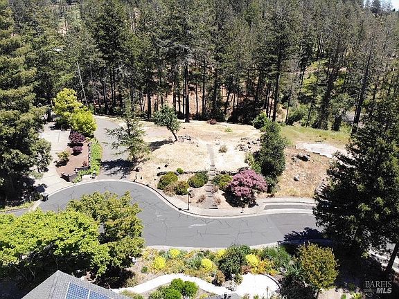 4th image of 3829 Moss Hollow Court