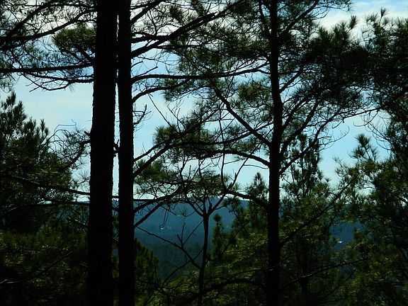 Lot with great views