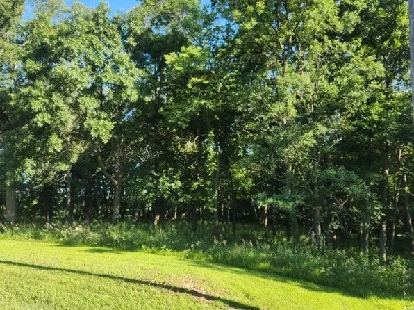 220th St, Saint Charles, IA 50240