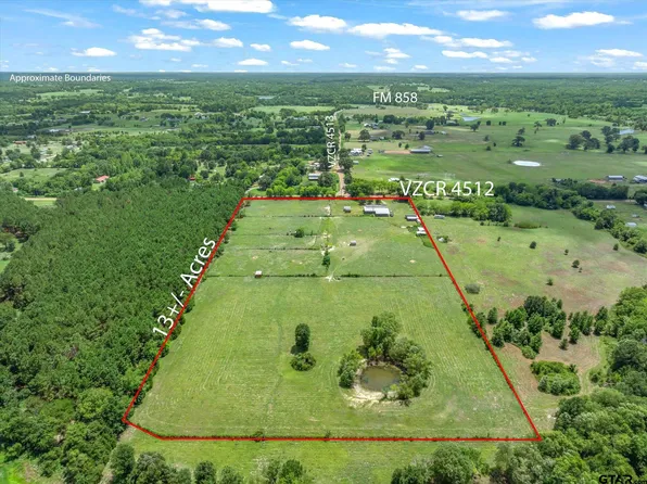 1285 Vz County Road 4512, Ben Wheeler, TX 75754