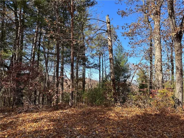 1689 A Shade Tree Dr #A & B, Ranger, GA 30734