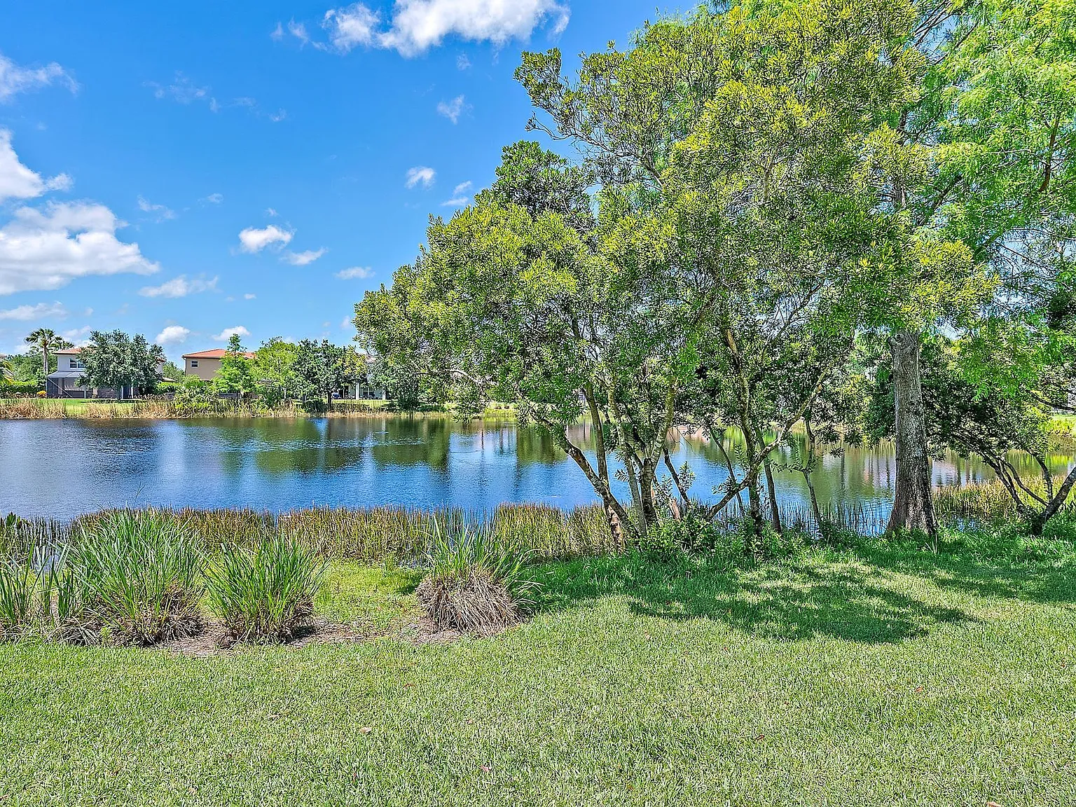 4 bed, 2.5 bath, 2334 sqft, $6,250 — Photo 3