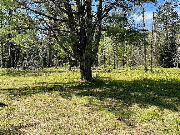 View From Front Porch 