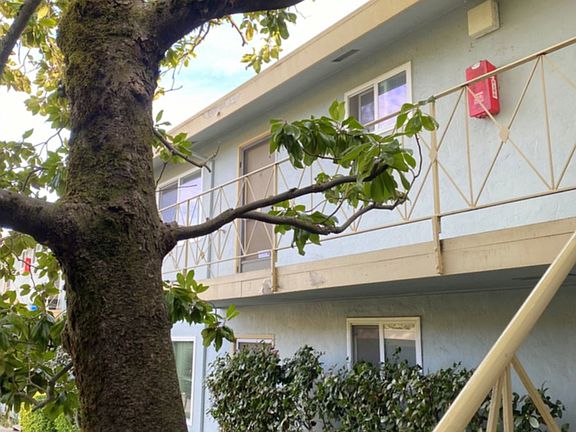 4th image of 40 Ross Ave APT 4