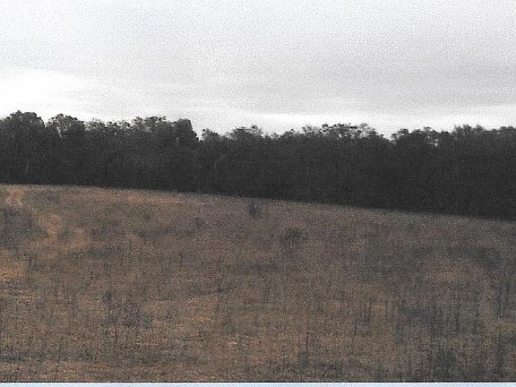 3rd image of 8333 Nw The Lord's Court