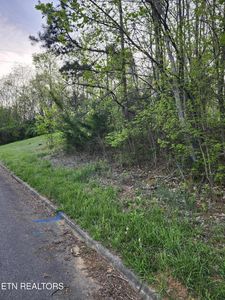 Walk In The Trees Dr LOT 2, New Market, TN, 37820