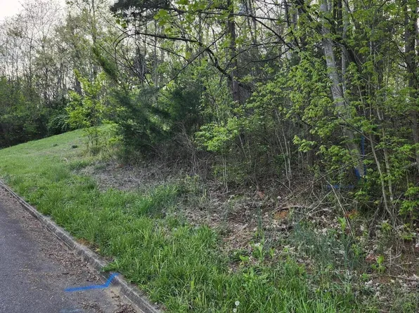 Walk In The Trees Dr Lot 2, New Market, TN 37820