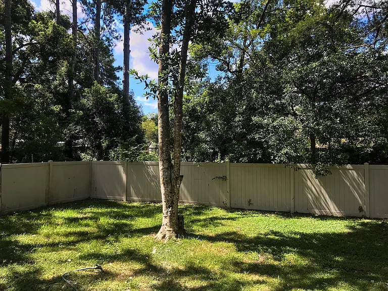 backyard 2