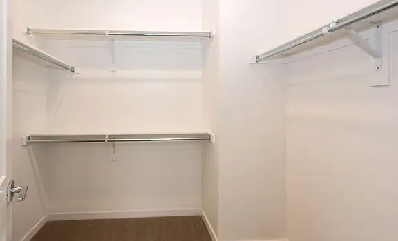 Spacious walk-in closet.