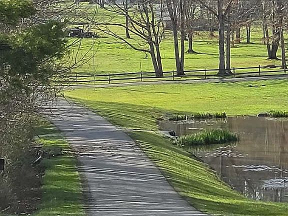 5th image of 531 Sunset Dr