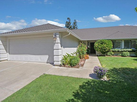 5th image of 1978 Angelico Cir