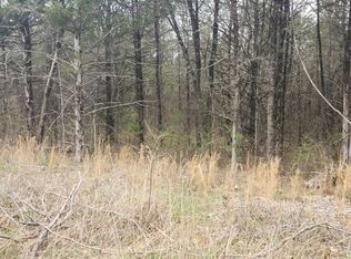 173 Lake Rd, Shell Knob, MO 65747