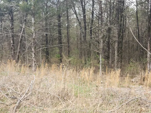 173 Lake Road, Shell Knob, MO 65747