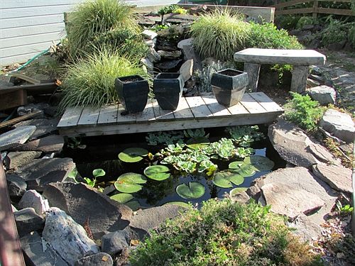 Water Feature