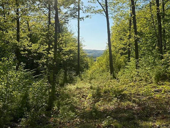 5th image of Lot 9 McDaniels Road