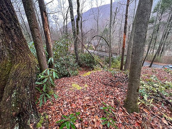 4th image of 192 Fall Creek Dr