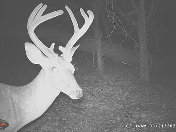 6338 W Oak Grove Rd, Hernando, MS 38632