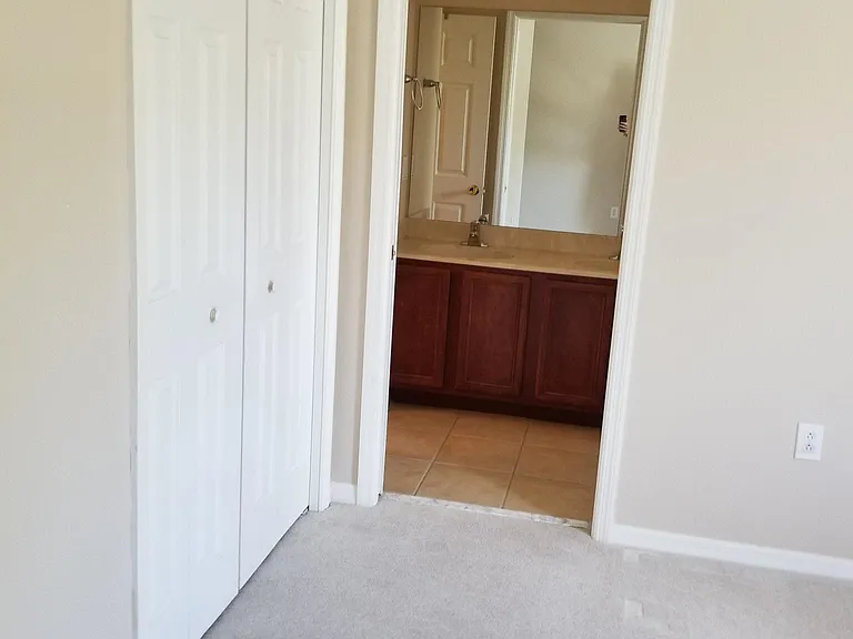 20422 Needletree Dr — Photo 10