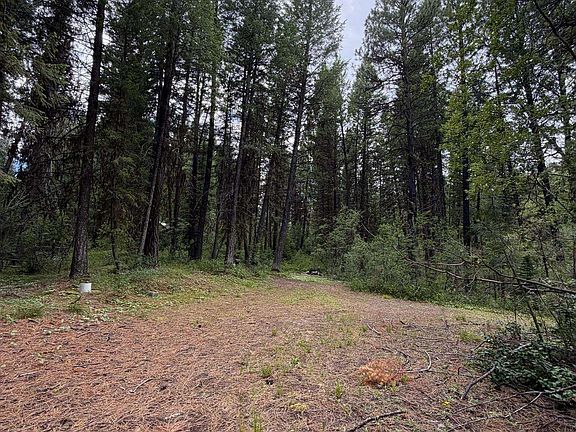 4th image of 41 Blue Spruce Ln