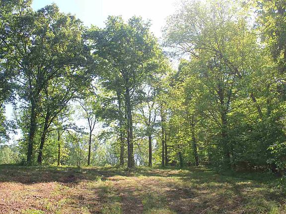 4th image of 701 Taska Rd