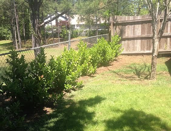 2nd image of 3581 Killarney Plaza Dr