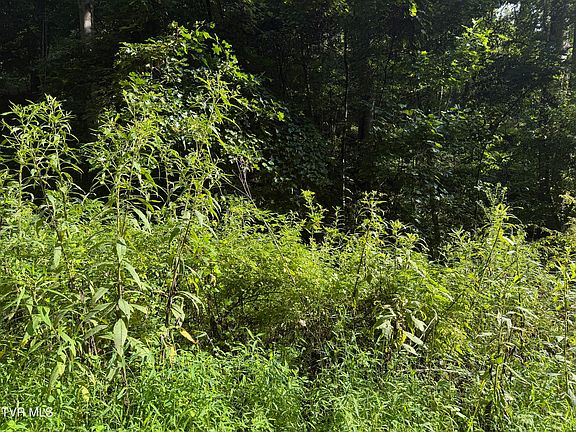 3rd image of 0 Of Williams Ln