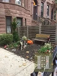 Rented by Halstead Real Estate