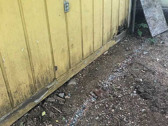5th image of 509 Live Oak Dr