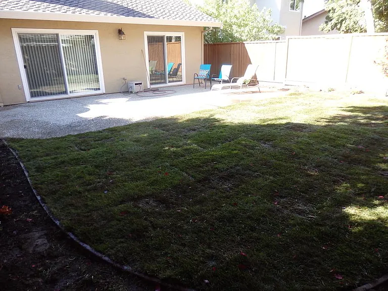 Back yard and back of house