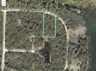 34287 Berryhill Dr, Webster, FL 33597