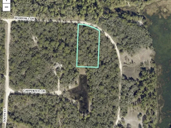 34287 Berryhill Dr, Webster, FL 33597