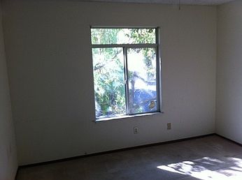 5th image of 310 Creekview Ct