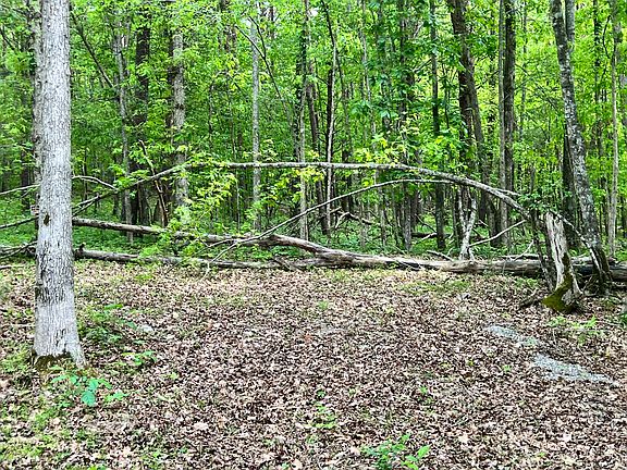 5th image of 0 Echo Point Rd Tract 1