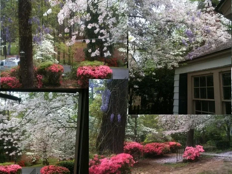 1004 Pine Hill Rd — Photo 27