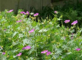 143 Center St, Hanover, MA 02339