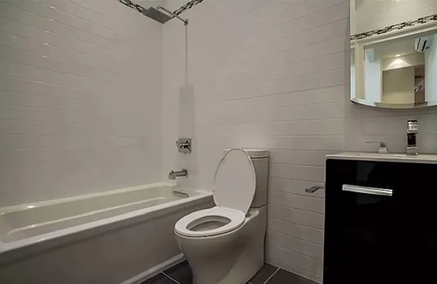 Rented by Manhattan Dwelling Corporation | media 15