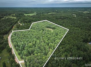 12828 Cadle Rd, Licking, MO 65542