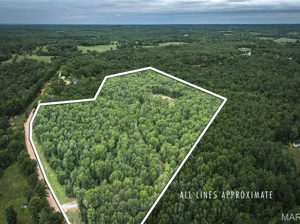 12828 Cadle Rd, Licking, MO 65542