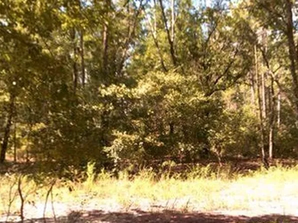 18631 B F Finley Cir, Glen Saint Mary, FL 32040