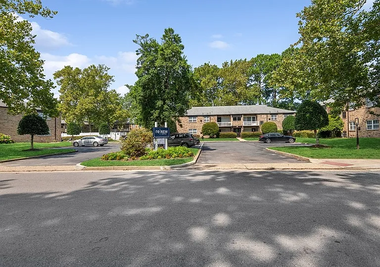 ReNew Norfolk — Photo 15