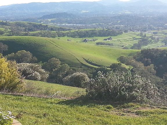 View from living room