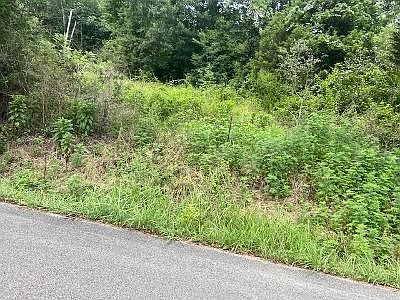 2nd image of 1189 County Road 20 #2