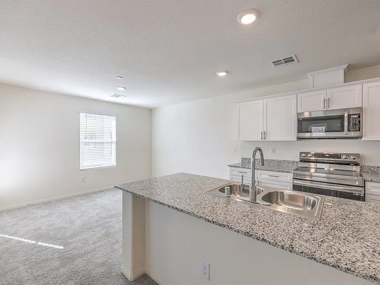 2666 Champagne Gold Ave — Photo 10