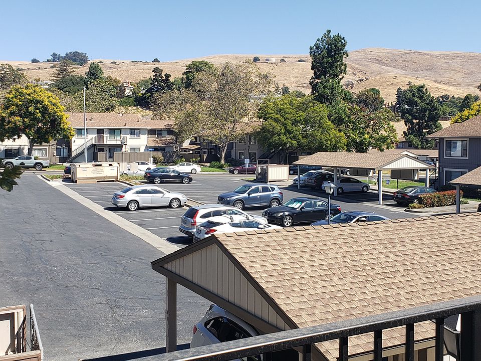 View of East Bay Mountain side