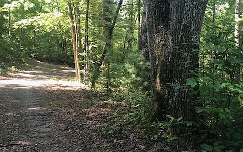 2nd image of 19 Bunum Penland Ln