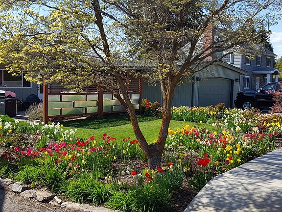 Garden with Dogwood
