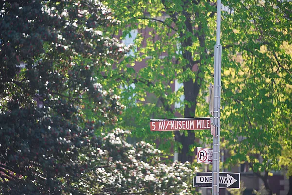 Rented by Compass | media 19